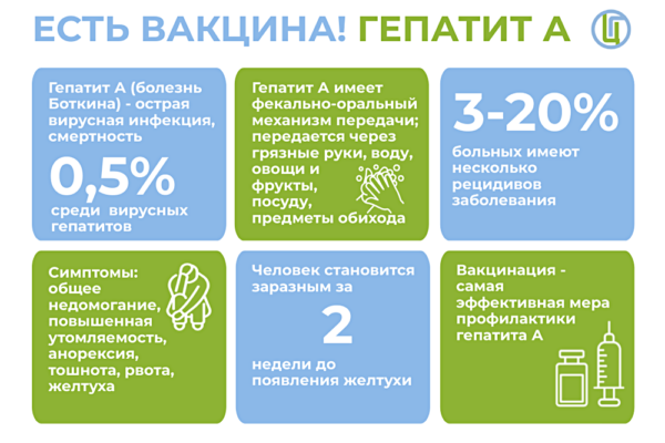 Инфографика на тему вакцинации от гепатита А