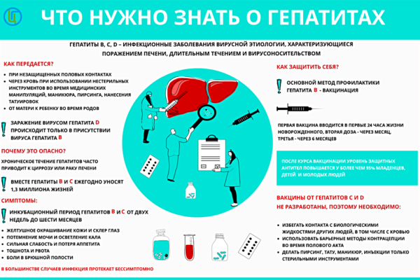 Инфографика Что нужно знать о гепатитах